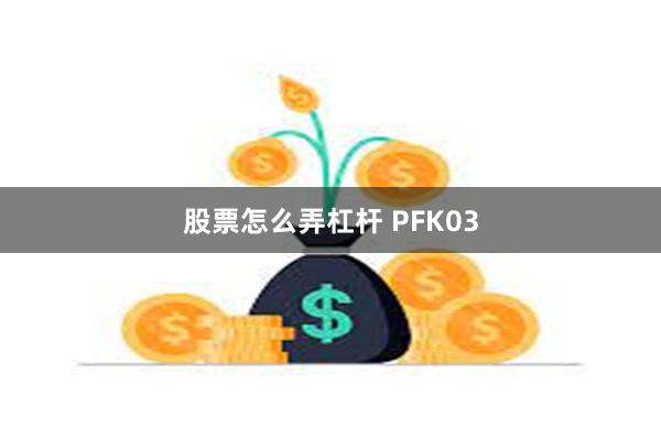 股票怎么弄杠杆 PFK03