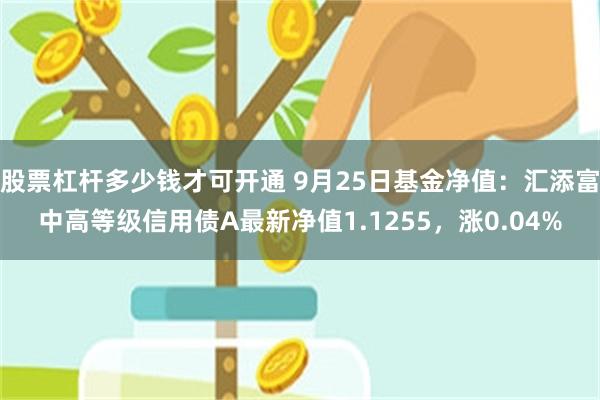 股票杠杆多少钱才可开通 9月25日基金净值：汇添富中高等级信用债A最新净值1.1255，涨0.04%