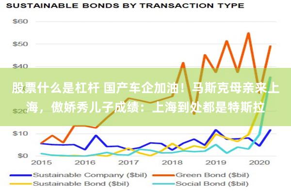 股票什么是杠杆 国产车企加油！马斯克母亲来上海，傲娇秀儿子成绩：上海到处都是特斯拉