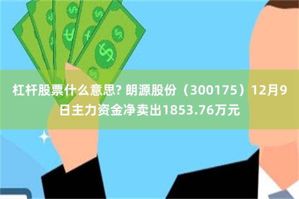 杠杆股票什么意思? 朗源股份（300175）12月9日主力资金净卖出1853.76万元