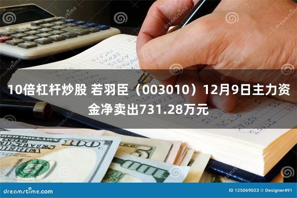 10倍杠杆炒股 若羽臣（003010）12月9日主力资金净卖出731.28万元