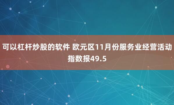 可以杠杆炒股的软件 欧元区11月份服务业经营活动指数报49.5