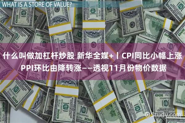 什么叫做加杠杆炒股 新华全媒+丨CPI同比小幅上涨 PPI环比由降转涨——透视11月份物价数据