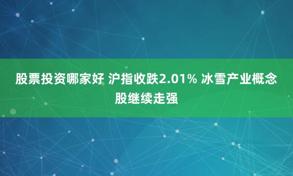 股票投资哪家好 沪指收跌2.01% 冰雪产业概念股继续走强